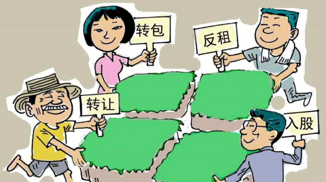 某村民小组诉某村委会土地承包经营权纠纷案