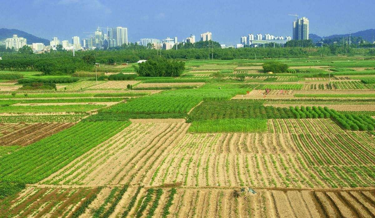 历史遗留损毁土地和自然灾害损毁土地的复垦