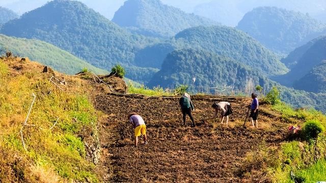 承包期内发包方是否可调整承包地