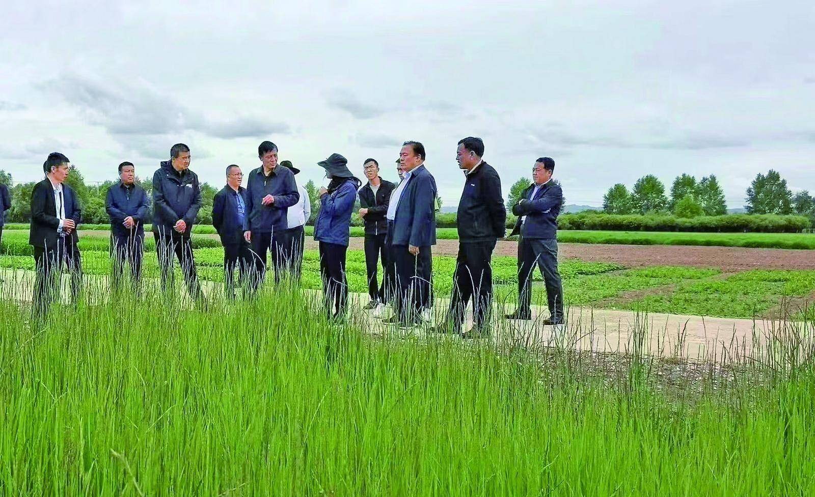 处理宅基地侵权纠纷要注意的问题